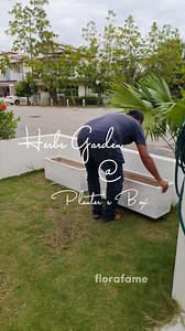 Seronoknya ada Herbs Garden yang 'manageable' macam ni. 6 jenis pokok Herba pilihan Pn Muzalifah ditanam di dalam planters box. Bila tanah tak bercampur dengan tanah yang lain lagi mudah untuk menjaga daripada serangan ulat & serangga. Senang juga untuk pindahkan di tempat yang lain. Jom dapatkan set Herbs Garden Minimalist 😊 #pokokhiasan #pokokviral #pokokhiasanmurah #pokokindoor #putrajaya #bangi #semenyihlandscape #servislandskapcyberjaya #servislandskapkl #floriaputrajaya #bungaviral #lands