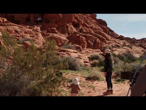 Family Camping with a Toddler — Valley of Fire (Field Notes 001)