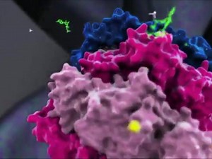 1K views · 13 reactions | Keep your AP biology students up to speed with a look at the mechanism of ATPase in this beautifully animated tour from the creator of "Inner Life of the Cell." Check it out at: https://www.labxchange.org/library/items/lb:LabXchange:35c0178d:video:1 | LabXchange | Facebook
