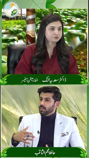 How irrigation system effective in Farming #SmartIrrigation #WaterConservation #ModernFarming #AgriTech2026 #DripIrrigation #SustainableAgri #GreenPakistan #PrecisionFarming #FoodSecurity #SolarIrrigation