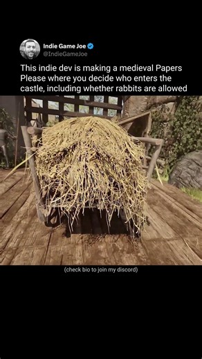 A medieval gate guard sim where you inspect documents, people, and haystacks