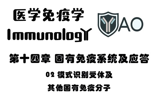 医学免疫学 第十四章_02 模式识别受体及其他固有免疫分子