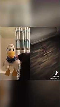 Donald Ducc can’t handle it #shorts