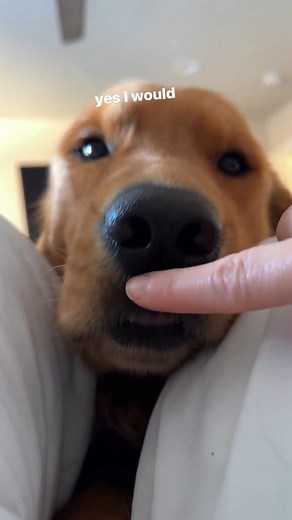 Morning Mlem Check ✅ | Tucker Budzyn