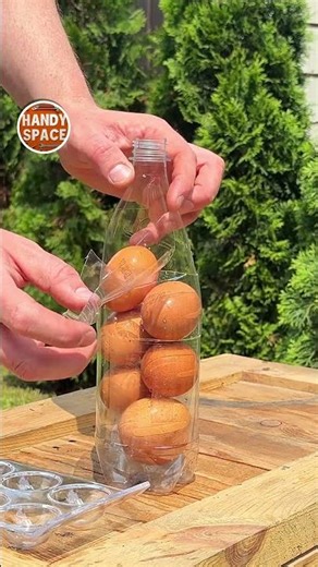 Nothing Breaks Here! Bottle and Egg Life Hack!