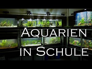 18 Aquarien in 6 Stunden einrichten - mit ‪@AquaOwner‬ & ‪@martinsfische‬ | Aquado-Zoo Dortmund