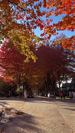 Fall foliage…🍂 #fall #autumn #fallvibes #foryou #reels #insidertraveller | Insider Traveller