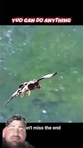 the powerful eagle#viralvideo #news #comedy #newsong #instagram#facts #movie #shortvideo #thankgod