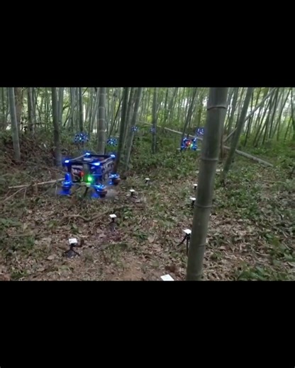 AI & Robotics on Instagram: "Researchers in China have successfully tested a swarm of 10 fully autonomous drones that can fly through a dense bamboo forest without GPS or human control. The drones were developed by a team at Zhejiang University and are designed to navigate unpredictable outdoor environments while avoiding unprogrammed obstacles in real time. Unlike traditional systems that rely on pre-mapped routes, these drones use onboard sensors and artificial intelligence to perceive surroun