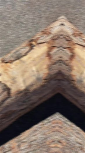 Curly maple and birdseye veneer logs 🪵 #veneermill