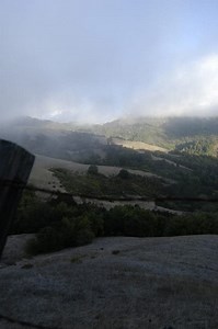 What is "sustainability"?