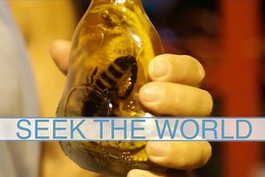61K views · 1.2K reactions | THROWBACK DAY: SNAKE WINE IS CREATED...