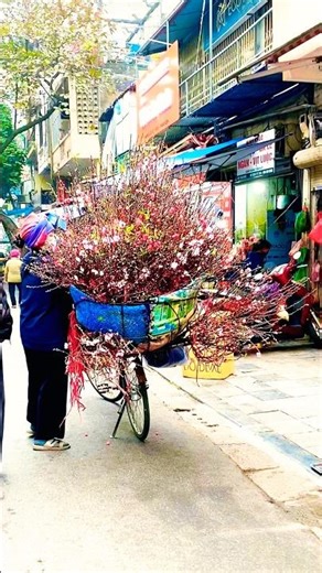 Tết Việt Nam : Phố cổ hà nội : Hoa đào tết: tet vietnam 2026. Hanoi old quarter #tếtviệt #phocohanoi