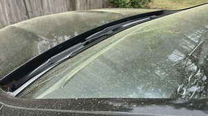 Sneezing nonstop? Here’s when tree pollen will finally ease in Charlotte region