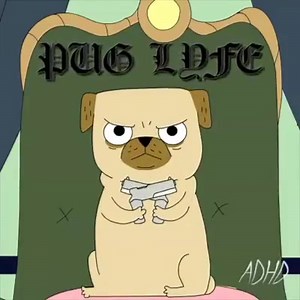 5.2K views · 166 reactions | BOW DOWN | Animation Domination High-Def | Facebook