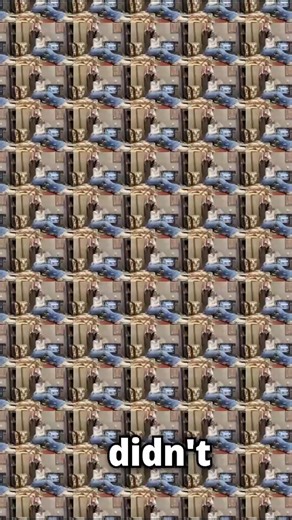 21K views · 107 reactions | Azzy in Wonderland  #reels #Gamers8 #festival #traveladventure #vlog | AzzyLand | Facebook