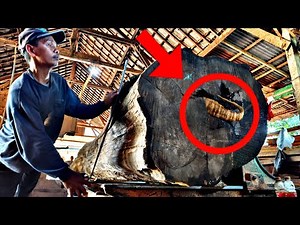 I’ve NEVER Seen Wood Like This Before! 😱