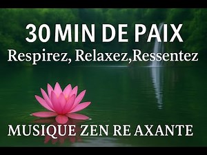 30 Minutes de Sérénité – Musique Zen & Sons d’Eau pour Méditation et Détente Totale 🌿