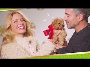 HSN | Alyce Caron's Holiday Home Host Picks 10.14.2016 - 03 PM