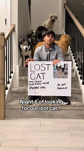 318K views · 9.7K reactions | We know she’s somewhere out there, we just want our little baby home ... | Blue The Husky | Facebook