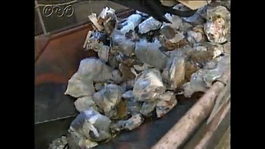 バイオマス | NHK for School