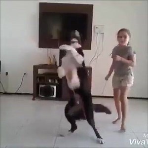 😂😂😂 | Best Videos