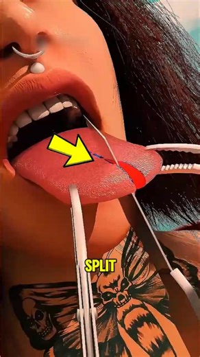 The Truth About Split Tongues That Most People Don’t Know