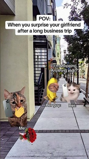 CAT MEMES 🐱When you surprise your GF after a long business trip #catmemes #relatable #relationship