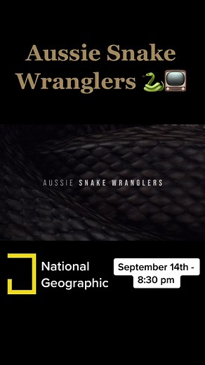 National Geographic’s - Aussies Snake Wranglers Official Trailer 🐍 #tvshow #snake #natgeo #ASW #snakecatcher #animals #wildlife #reptile #australia