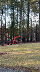 8 down…4 more to go! Soon our front yard will be free from pine cones! Thanks to Billy, Ricky Van & Tina! They make a great team! | Bettye Shelton