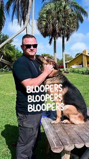 98K views · 2.2K reactions | Blooper #dog #doglover #dogtips #dogtrainingtricks #dogtraining #dogtrainer #fyp | Pet Dogs | Facebook
