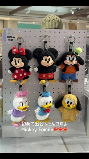 初めて出会ったミッキーファミリーを開封
