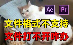 【PR新型插件】快速无损转换素材格式，解决Pr格式不支持。解决你的视频格式问题。