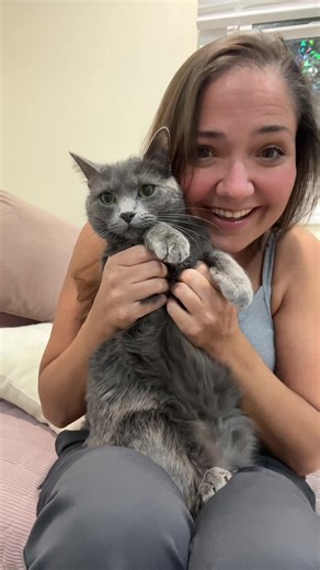 Mouse DNA Discovery: A Surprising Feline Connection