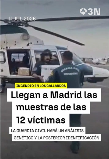 🔴 Ya están en Madrid las muestras biológicas de las 12 víctimas mortales del incendio de Los Gallardos ➡️ La Guardia Civil hará un análisis genético y su posterior identificación 📲 Sigue toda la #actualidad en antena3noticias.com #Antena3Noticias #Noticias #news #noticiastiktok