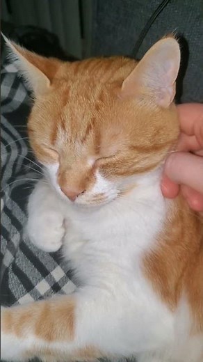 Does this confuse Him?