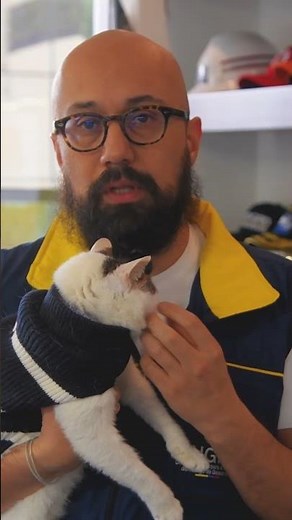 ¿Quién protege a los animales en una emergencia?
