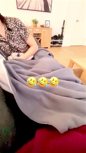 Fun Dog and Cat Antics: Hilarious Pet Conversations