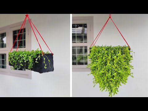How to make rectangular hanging planter | DIY cement planters