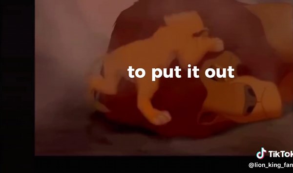 «°lionkingfans °» on TikTok