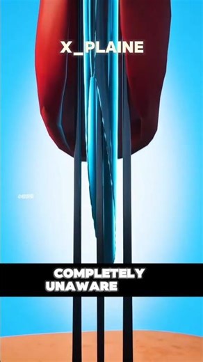 How Does A Mosquito Sucks Your Blood...? Lets See.