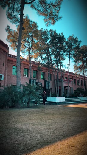 Essential Tips for Successful MDCAT Preparation