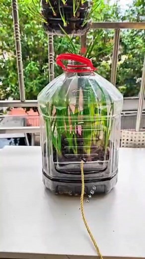 167K views · 1.3K reactions | Transforming trash into treasurel | Plastic Recycling Art | Facebook