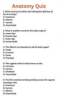 Anatomy Quiz | Female Reproductive System