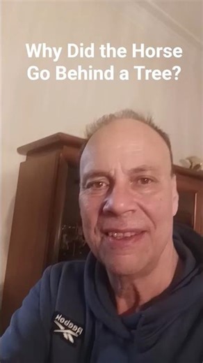 Why Did the Horse Go Behind a Tree?