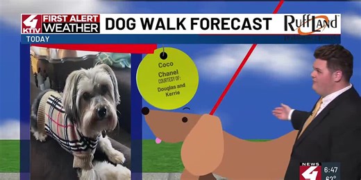 Dog Walk Forecast: Coco