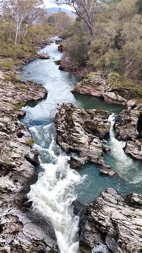 24K views · 856 reactions | Buffalo River (flowing), Osbornes Bridge, South of Myrtleford (today). I find this a majestic river scene. When river is in high flow, the boulders disappear from view, yet their presence is still felt in the turbulence of the flow. Ern, 17/8/25. | Victorian Creeks and Rivers; Friends of Deep Creek | Facebook