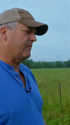 Carbon Cowboys on Instagram: "Farmers have to make a profit - that’s why our study tracked more than just the bugs, birds, and ecology. We wanted to make sure these practices lead to a better life for the farmers as well. Luckily, saving money and saving birds goes hand in hand. When you increase the biodiversity of your fields through adaptive multi-paddock (AMP) grazing, you can raise more cows on the same land with the same rainfall while extending your grazing season. Most AMP farmers have m