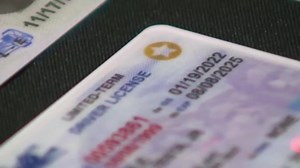 Last-minute Real ID application surge: See the numbers