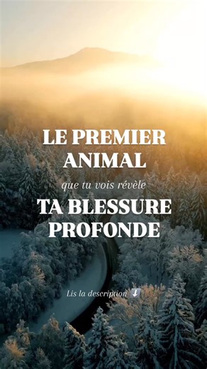 L'univers de Cécilia on Instagram: "L’animal qui t’attire le plus révèle la blessure que ton âme essaie de guérir. ❤️ 🐺 Loup - blessure du rejet Sentiment de ne pas avoir sa place, d’être de trop ou différent. Le loup développe l’indépendance et la solitude comme protection. Derrière la distance, il y a une peur profonde de ne pas être accepté tel qu’il est. 🦉 Chouette - blessure de l’injustice Impression d’avoir été traité de façon froide, dure ou disproportionnée. La chouette recherche la vé